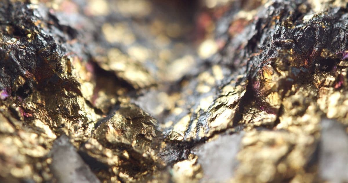 FireFly Metals avanza en el estudio de Green Bay con resultados de alta ley